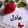 user8690750890295