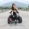 hayleymertlle