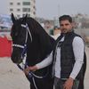 eng.ramiabed