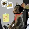 usersweettexas