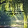 user.768065