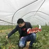 jianyinghu