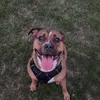 alfie_d04