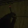 qkapikq