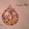 leopardstart