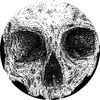 wishfordecay