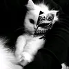 hgzin_12
