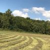 green_valleyfarm2020