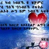 helenmengstab75