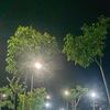 ncus_31