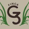 fincag3