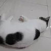 sasiiiiii1