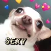 riddimadam1