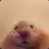 ilbnwfr