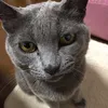 emazoukun