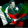 mkashifkhan33