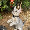 travelinggatos