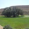 mlayehnajib