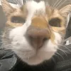weirdassjohn