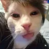 justin_jr111