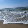 andreaorellana3796