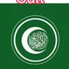 mwaleed155