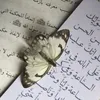 احاديث العترة
