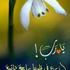 user601344686386