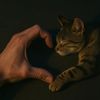 sheylamori2