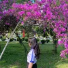 phuong64.1