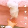 user525915719