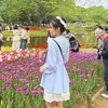 gyepu05