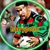 harrypolin