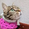 rosa_gattini