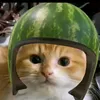 juw1t4_