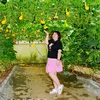 springxuan