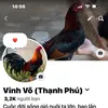 vinhvo23979