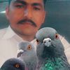 maqbool728
