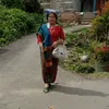 binasuryatondang
