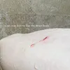 cutlonxaomeheh