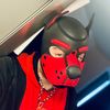 pup_fenrir1802