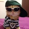 user12345jdjd