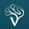 Vira chairs