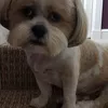 rhondamcnab