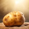 mrpotatohead200