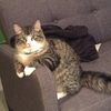 whiskers_13
