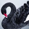 black.swan.audacit