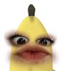 dnnlpg_