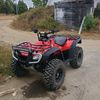 that_red_rubi_500
