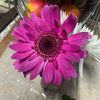 kym_h12